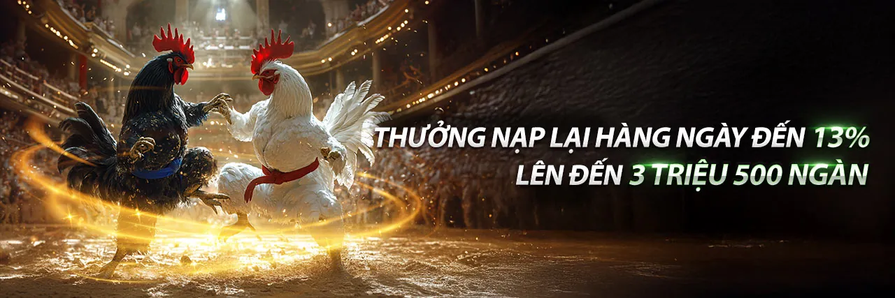 Hình ảnh Điều Khoản Dịch Vụ mayclub casino